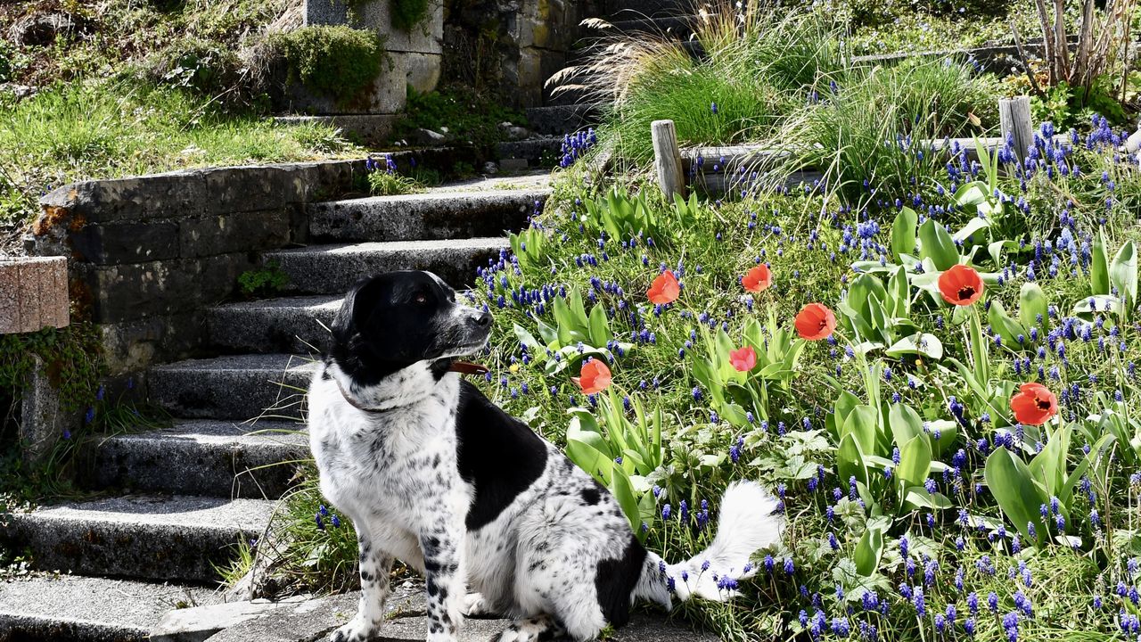 Foto 05.04.24, 13 10 53 Foto 05.04.24, 13 10 53